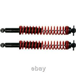 519-29 AC Delco Shock Absorber and Strut Assemblies Set of 2 New for Chevy Pair