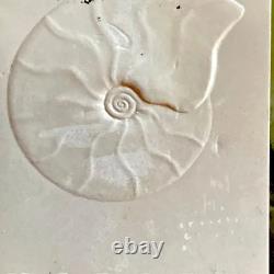 Limited Edition Korite Canada Ammolite Dial Watch New Old Stock in Original Bo