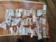 NOS Lot 37 pc COMPUCHRON DIGITAL QUARTZ WATCHES Hong Kong NEW 1970s $3.52 Each