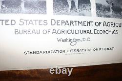 RARE new old stock orig. 1936 Large USDA Lamb slaughter grade poster chart sign