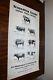 RARE new old stock orig 1939 Large USDA Steer slaughter grade poster chart sign
