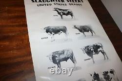 RARE new old stock orig 1939 Large USDA Steer slaughter grade poster chart sign