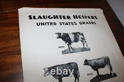 RARE new old stock orig 1940 Large USDA Heifer slaughter grade poster chart sign